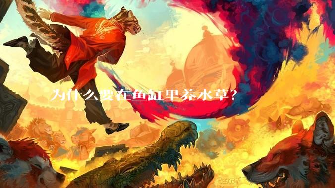 为什么要在鱼缸里养水草？