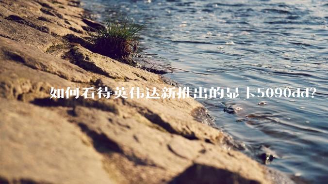 如何看待英伟达新推出的显卡5090dd？