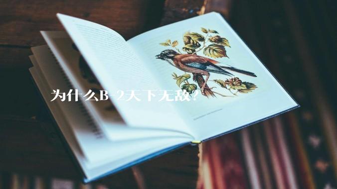为什么B-2天下无敌？